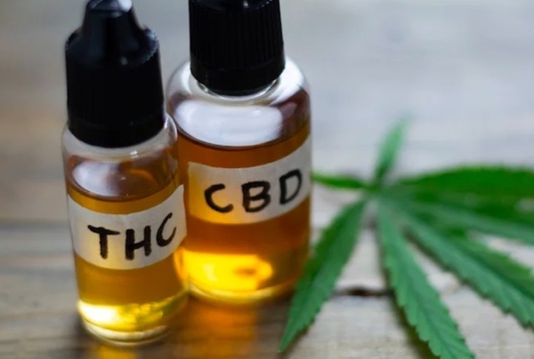 Diferencias Entre El CBD Y El THC - 2022